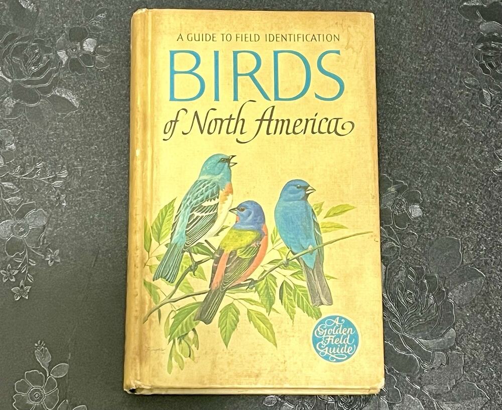 Birds Of North America Golden Field Guide Chandler S. Robbins 1966